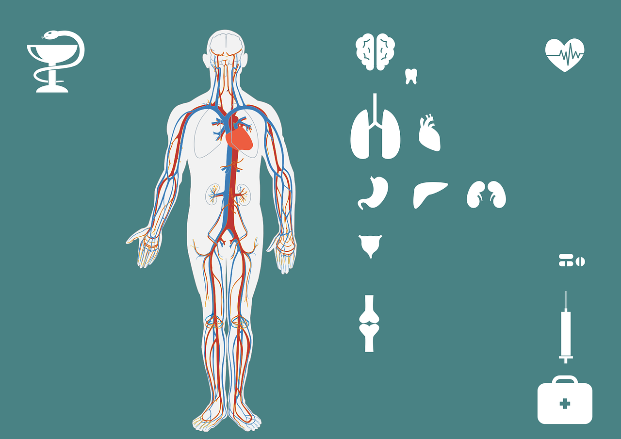 急診搶救流程圖優(yōu)化，提升搶救成功率與急救服務(wù)質(zhì)量