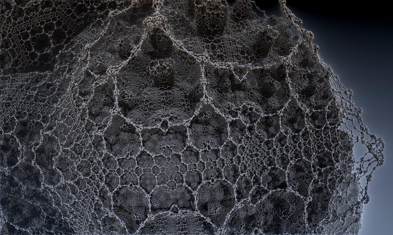 遼寧隋顯利最新動態(tài)，傳奇人物的嶄新篇章