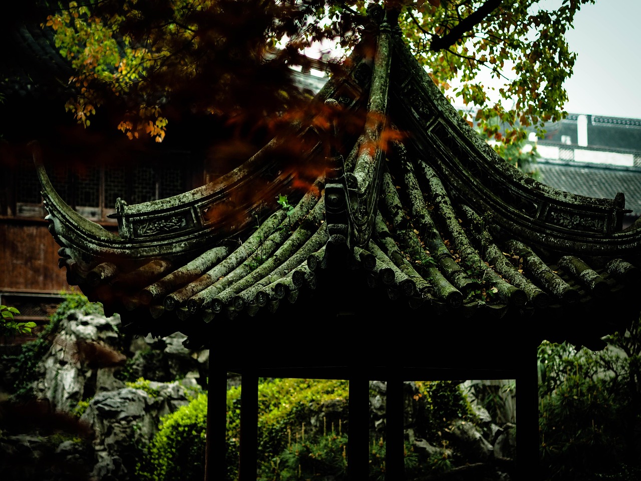 中國女排隊蓄勢待發(fā)，展現(xiàn)新篇章，最新消息與動態(tài)速遞
