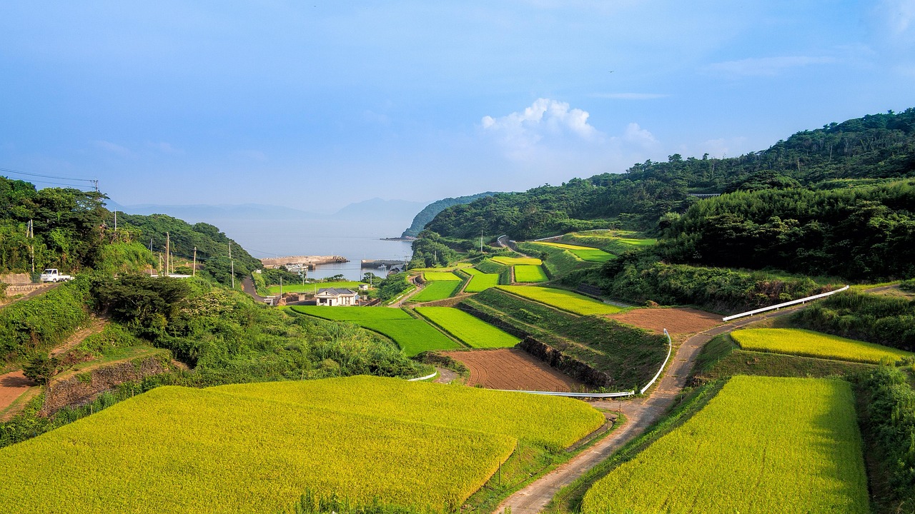 廣西靈山高速建設(shè)進展揭秘，最新消息與未來展望