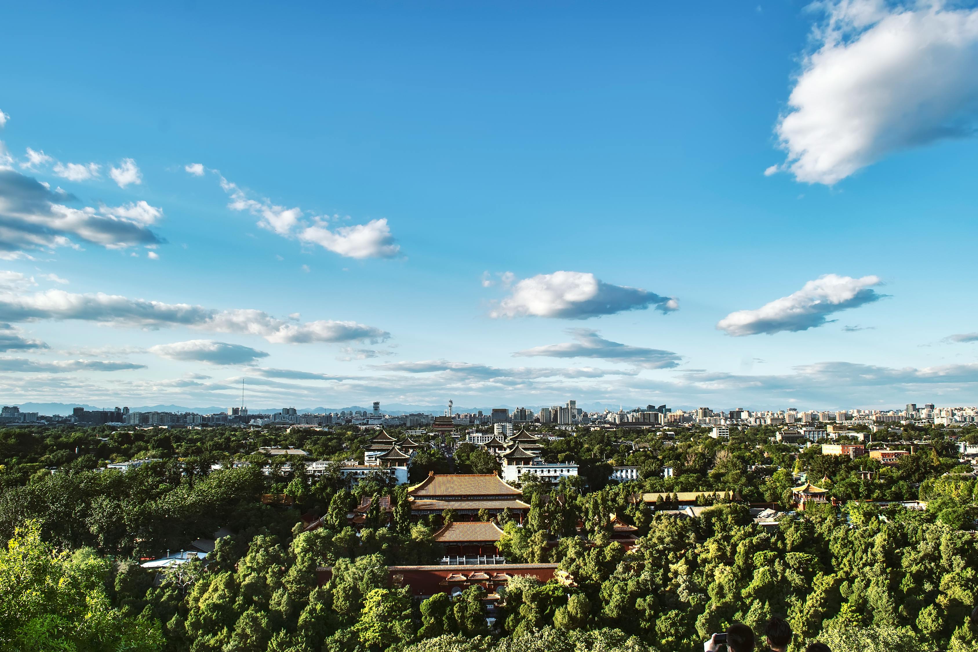 長(zhǎng)沙洞井路最新動(dòng)態(tài)，城市發(fā)展與民生改善同步前行