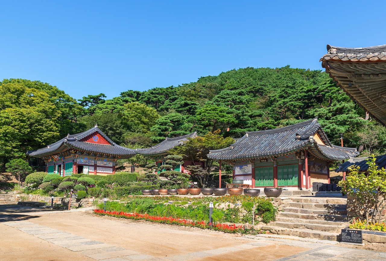 廣饒四季花城，繁榮盛景與未來(lái)期待揭秘