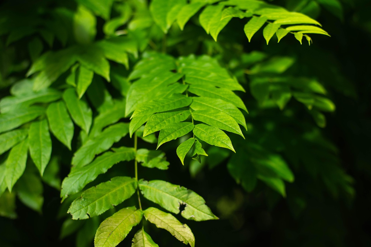 北海水印泉山最新動態(tài)，城市發(fā)展與綠色生態(tài)的和諧共鳴