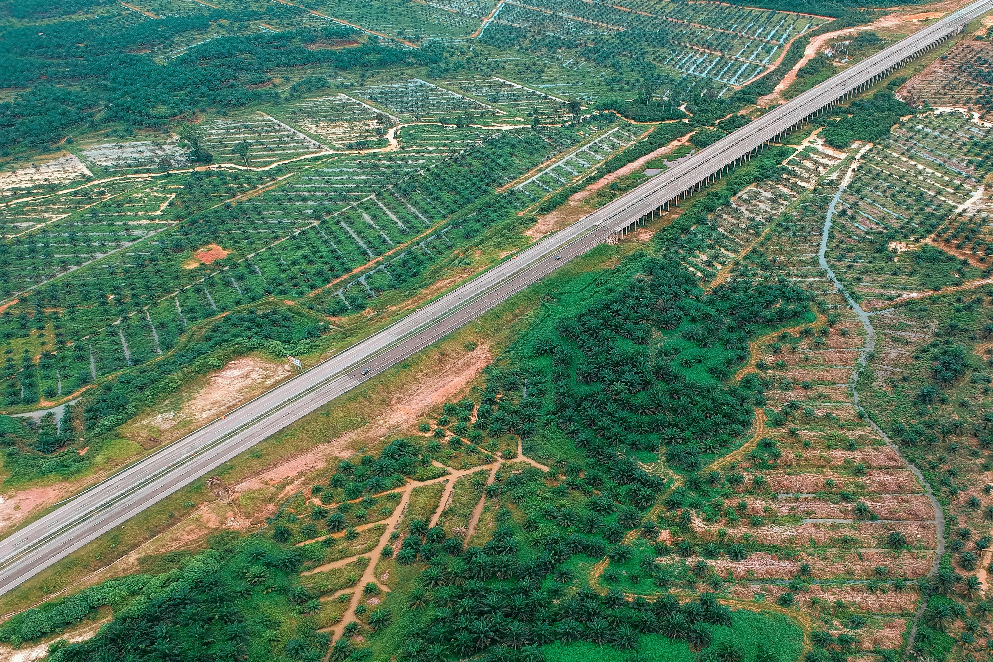 興富高速公路最新進(jìn)展報(bào)告更新，建設(shè)進(jìn)度一覽