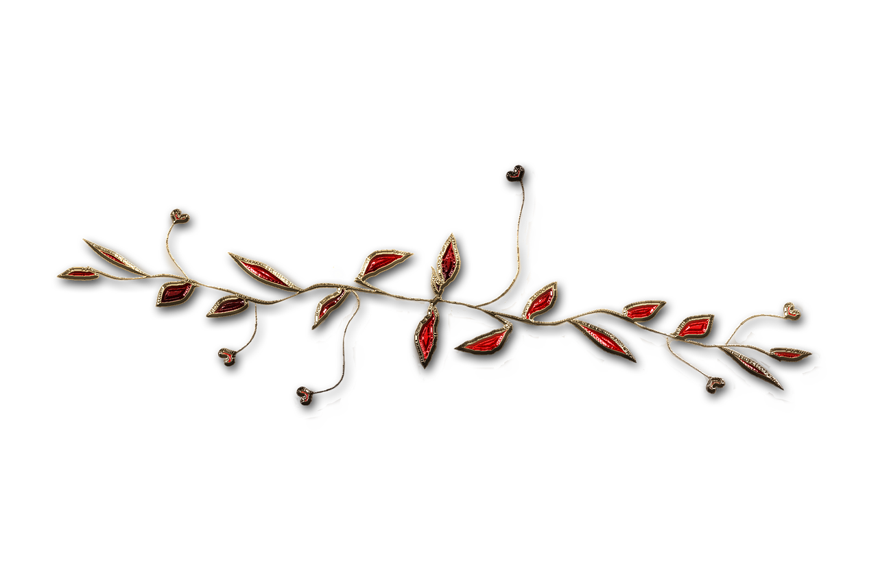廣西大紅八角產(chǎn)業(yè)蓬勃發(fā)展，前景廣闊，最新消息與動態(tài)
