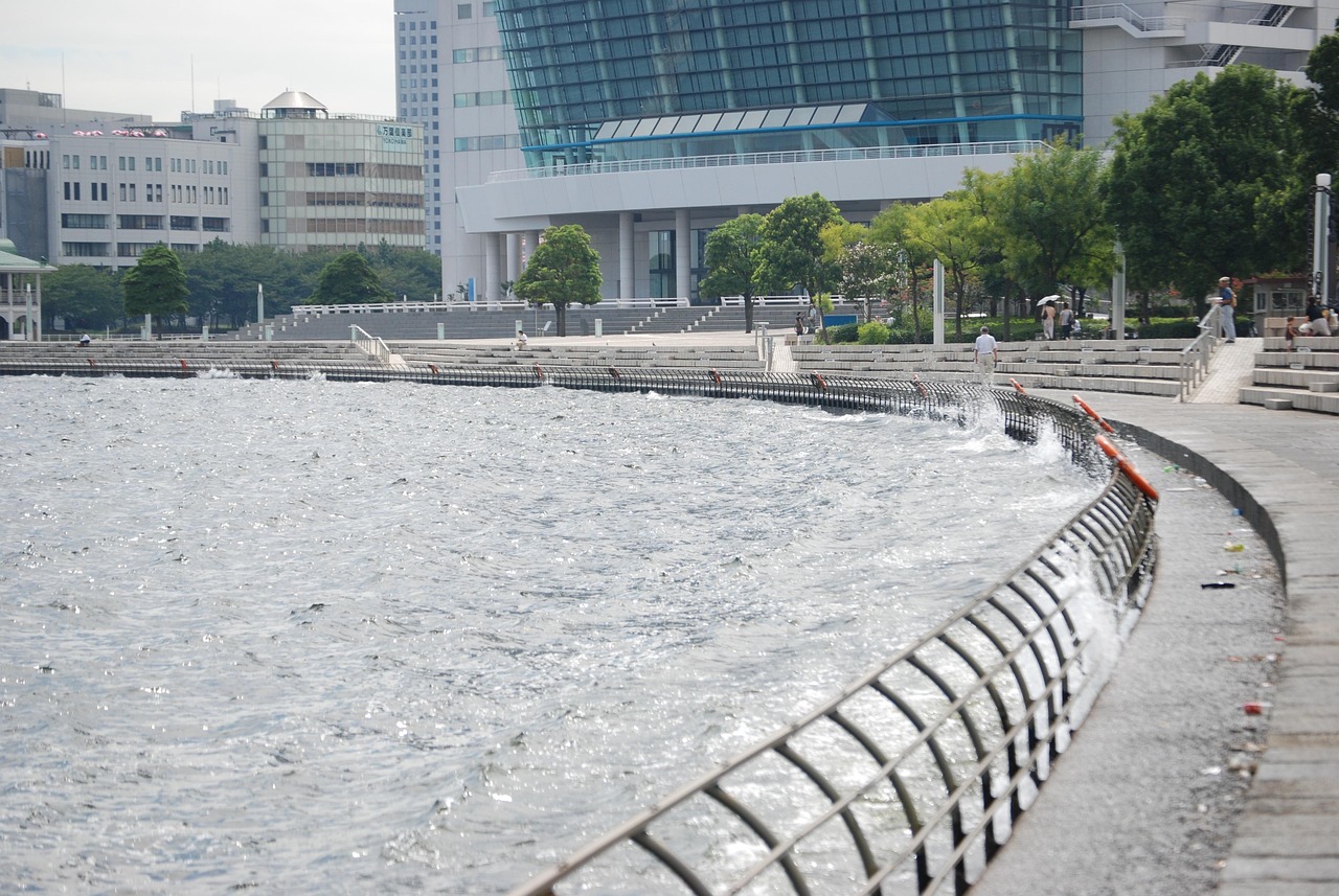 鄭州海昌海洋公園最新動(dòng)態(tài)揭秘，揭開神秘面紗，展現(xiàn)海洋魅力奇觀