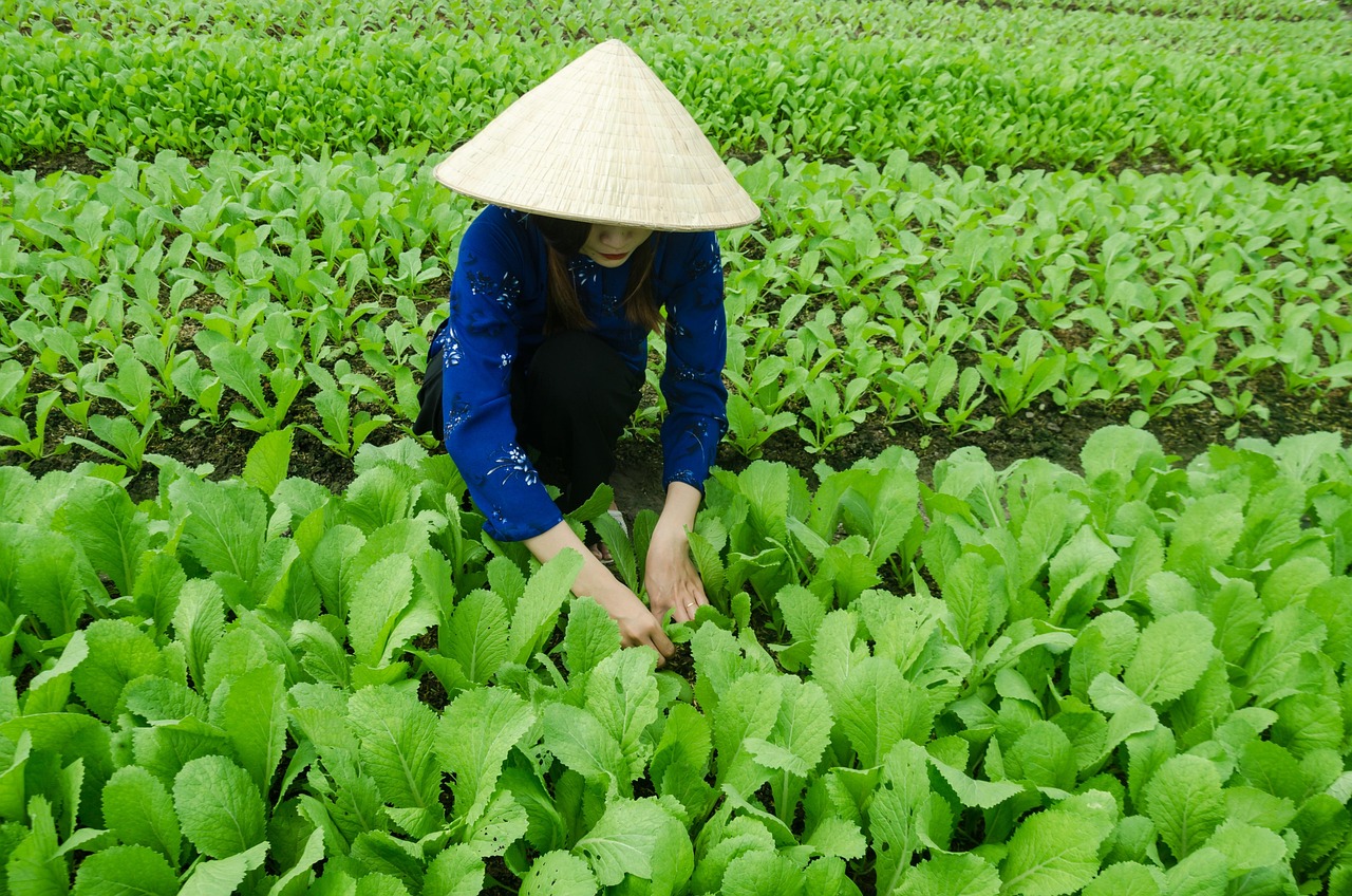 戶(hù)戶(hù)通四代機(jī)最新動(dòng)態(tài)概覽
