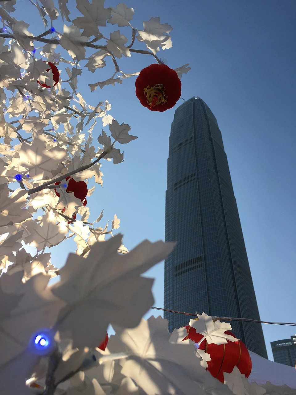 漫漫長夜新版本砍樹探索，全新體驗(yàn)之旅
