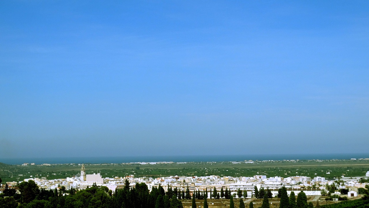 食用油漲價最新動態(tài)，原因分析與市場觀察